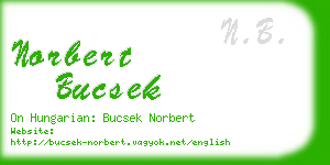 norbert bucsek business card